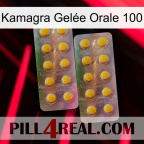 Kamagra Gelée Orale 100 new10